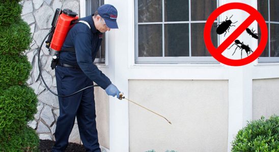 Doğankent Akrep İlaçlama böcek ilaçlama ve haşere kontrolü — ilaclama-tr.com
